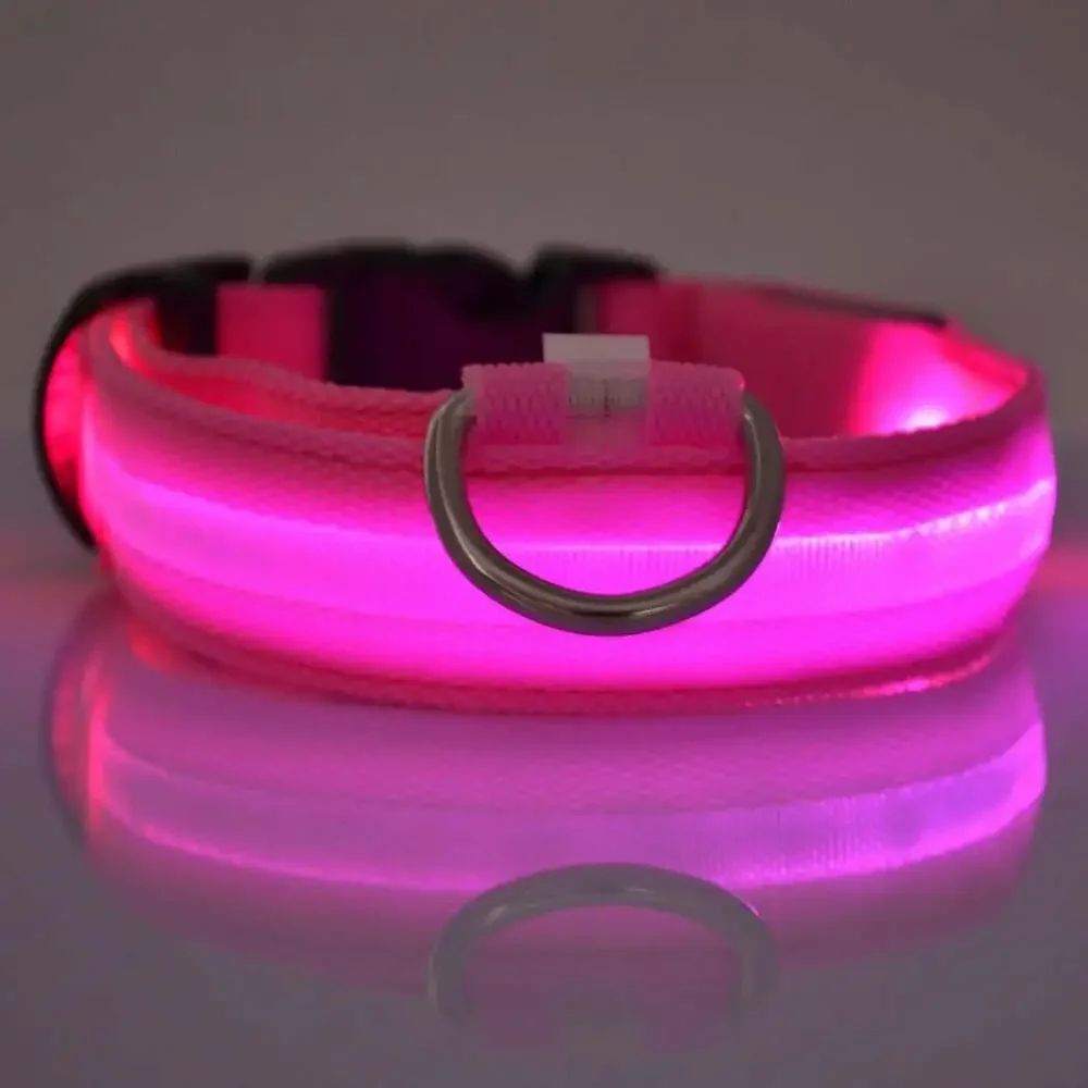 Nylon LED Night Safety Flashing Glow in the Dark Dog Leash Dogs Luminous Fluores